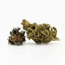 Sugar Queen CBD flowers 17% CBD, 0,2% THC 