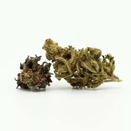 Sugar Queen CBD flowers 17% CBD, 0,2% THC 