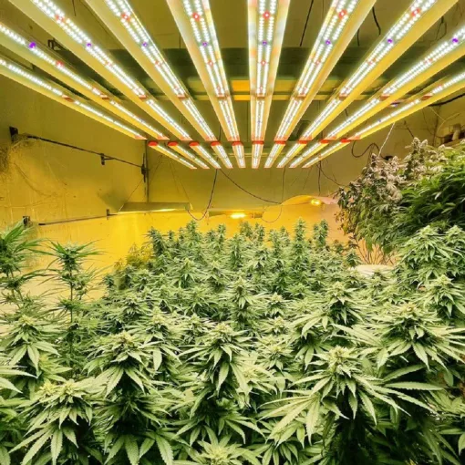 ParfactWorks ZE510 LED Grow Light 510W