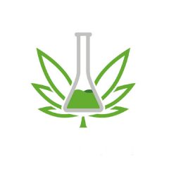 Pyhra cannabinoid gyors teszt 1 órán belül