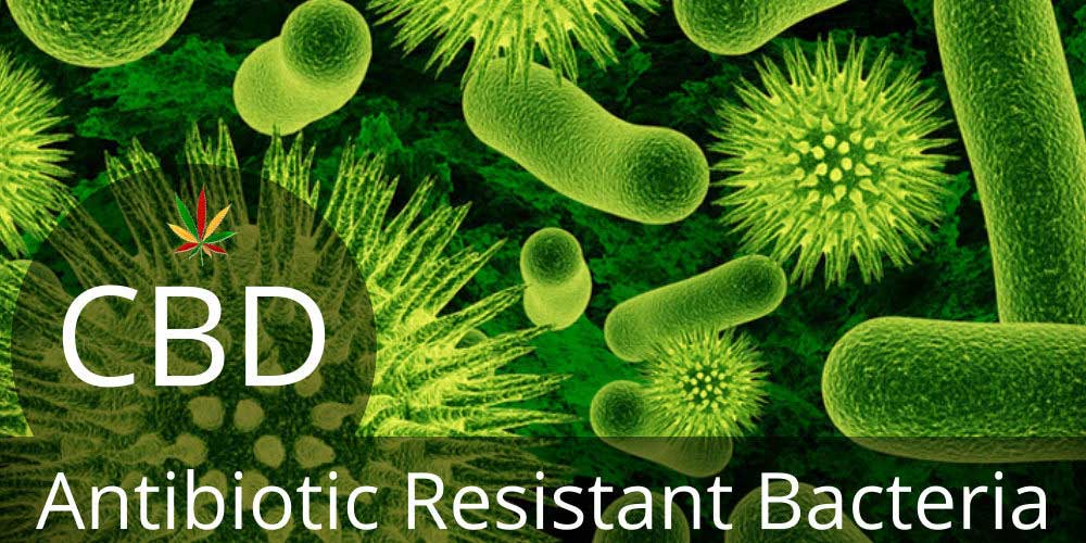 A CBD megvéd a baktériumokkal szemben is???!