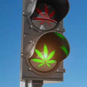 Kannabisz legalizáció Európaban1