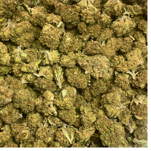 A CBD virág esete Európában, már ahol legális!