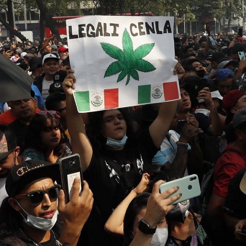 Megsemmisítette a legfelsőbb bíróság a marihuána magánhasználatát tiltó törvényeket Mexikóban