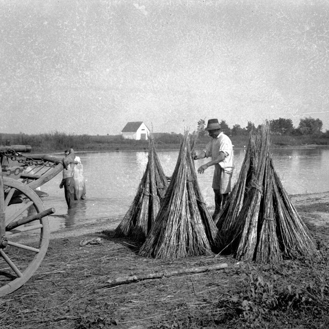 Hogyan készült az egykor híres magyar kender?